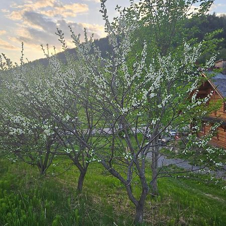 サント・ローズ・デュ・ノール Le Repaire Viking Bed & Breakfast エクステリア 写真